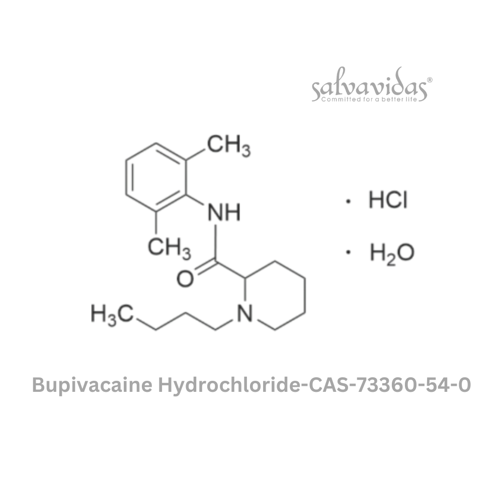 Bupivacaine Hydrochloride-CAS-73360-54-0