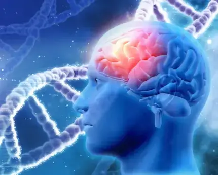 Neurology: Understanding the Complexities of the Human Brain